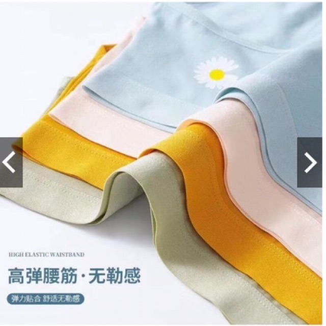 HÓT NĂM NAY-Quần Lót Cotton Cúc Họa Mi Kháng Khuẩn Chống Viêm | BigBuy360 - bigbuy360.vn