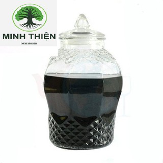 Bình ngâm rươu sâm 20 lít thủy tinh Kim Cương