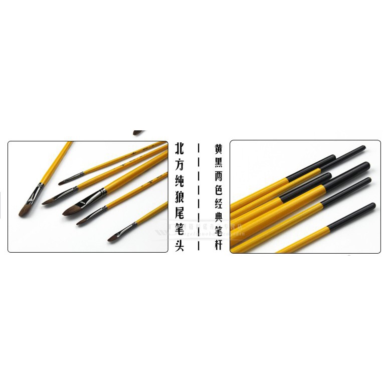 Bộ 6 cọ vẽ màu nước acrylic nghệ thuật sợi lông sói hình dạng khác nhau với tay cầm bằng gỗ tiện lợi