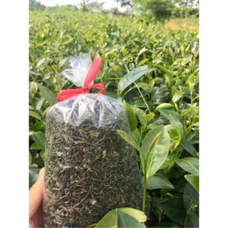 Chè xanh khô - chè khô sạch - chè xanh loại 1- 500gam