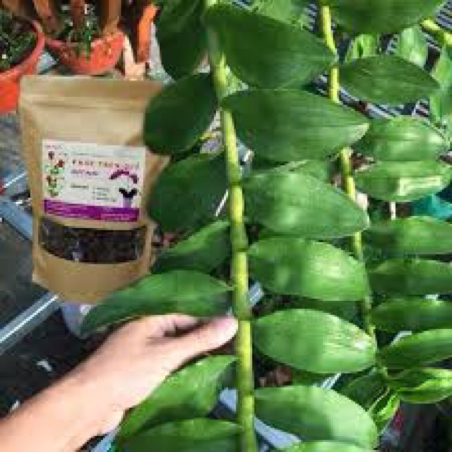 ( SIÊU RẺ ) Phân Trùn quế Viên nén HẠT MẬN VERNUT tốt cho mọi loại cây gói 1kg