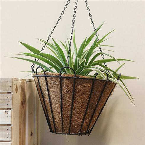 Combo 5 tấm Thảm xơ dừa ép KT 50x50cm, giá thể giữ ẩm cho cây trồng