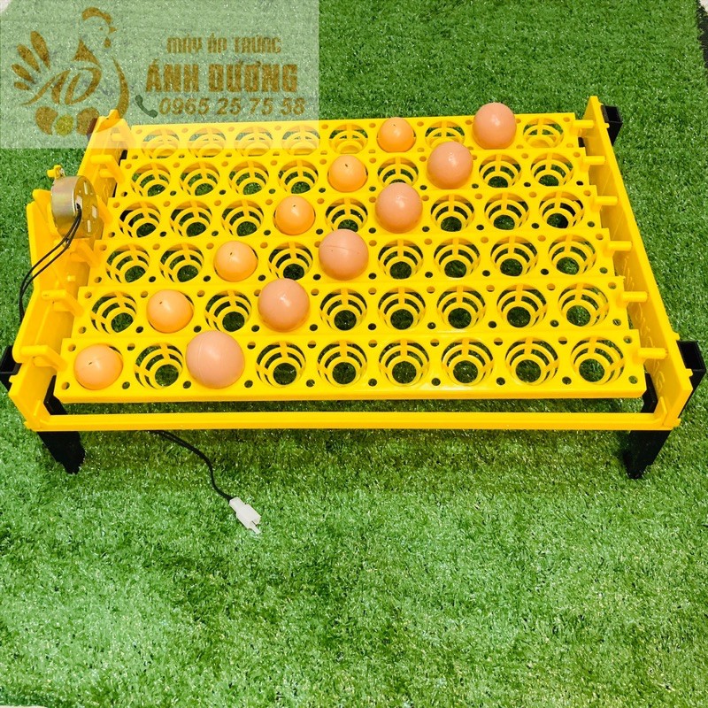 Khay đảo trứng bằng nhựa tự động dùng cho máy ấp trứng P100