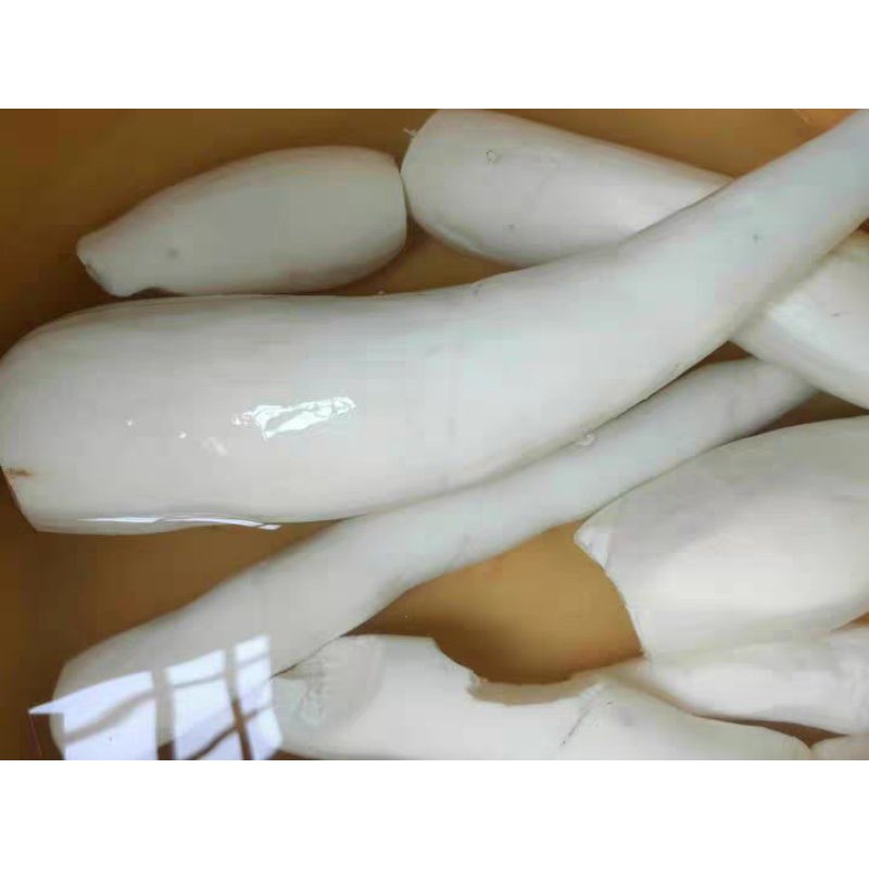 Giống cây sắn  tự nhiên