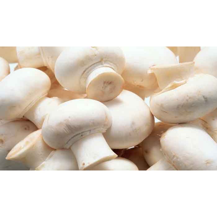Nấm Mỡ Trắng Tươi