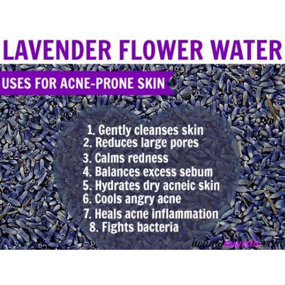 NƯỚC CẤT HOA OẢI HƯƠNG HỮU CƠ FLORIHANA, ORGANIC LAVENDER VERA WILD FLORAL WATER 100% THIÊN NHIÊN