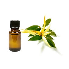 TINH DẦU NGỌC LAN TÂY