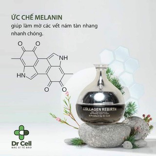 Kem đêm Collagen rebirth