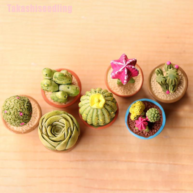 Bộ 5 chậu cây mini dễ thương trang trí nhà cửa