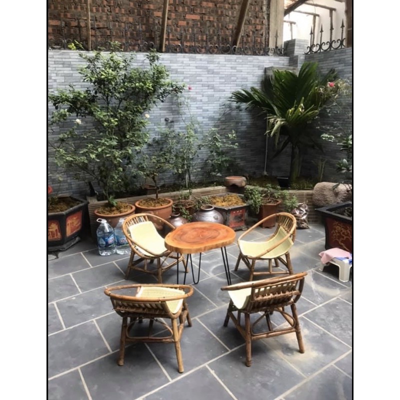 Ghế mây con sò tự nhiên