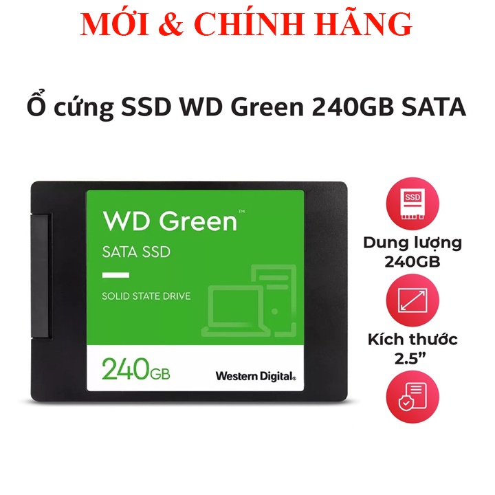 Ổ cứng SSD Western Digital Green Sata III WD 240GB 480GB, Pioneer 512GB