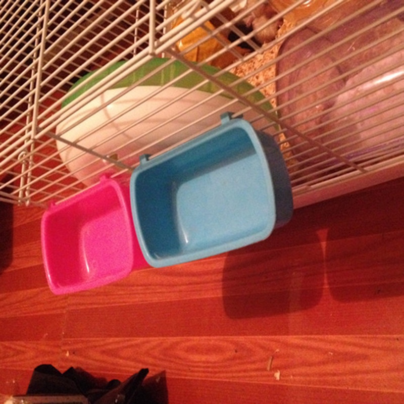 Tô đựng thức ăn/ nước uống cỡ nhỏ tiện lợi cho chim cảnh/ chuột Hamster