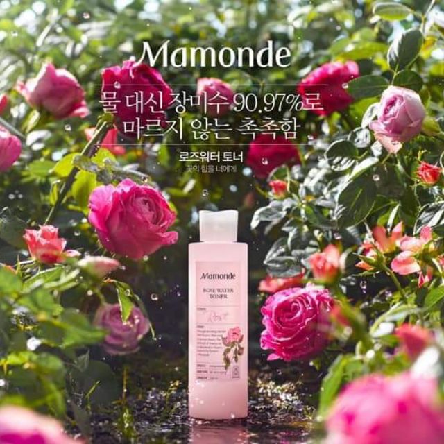 Combo nước hoa hồng mamonde