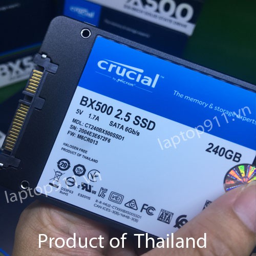 ổ cứng ssd 480gb 240gb crucial thương hiệu mỹ ngon lắm ý - 2.5 inch sata 3 6.0gb/s