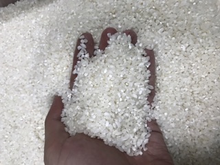 Gạo Tấm Nở