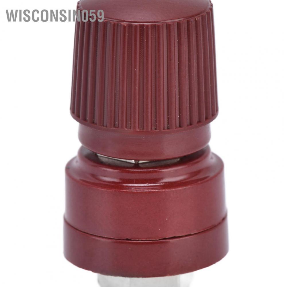 Wisconsin059 10Pcs Binding Post M6 Thread Brass Nickel Plated Welding Terminal Stud Connector 0‑380V