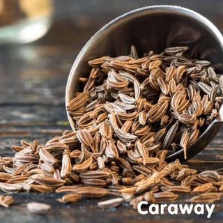 Tinh dầu hạt Thì Là Caraway Seed Essential Oil
