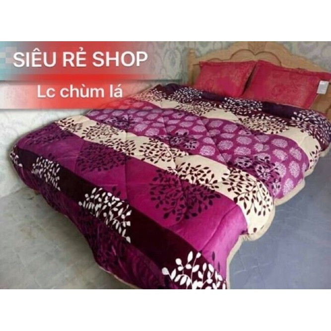 Chăn lông cừu đại hàn siêu ấm 3 lớp cao cấp -