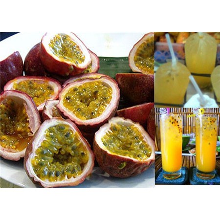 Hạt Giống Chanh Leo Sai Qủa  Kèm Qùa Tặng Và Hướng Dẫn Ươm Trồng