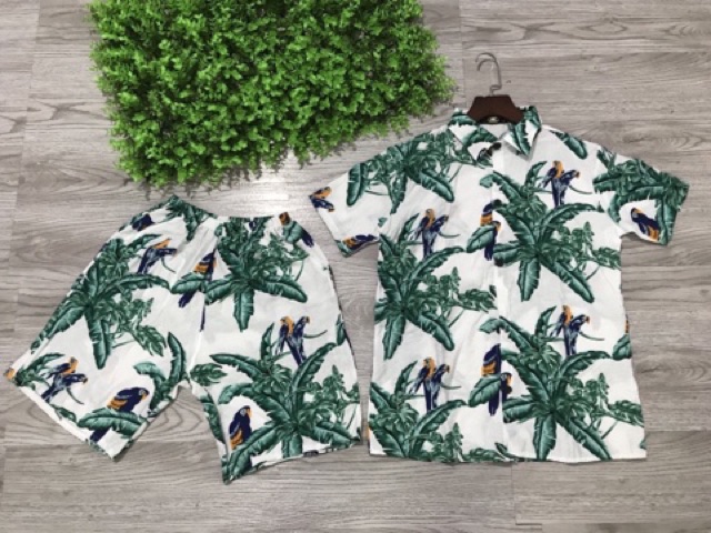 Đồ đi biển siêu hót nam nữ mặc đc chất liệu đẹp size từ 50kg đến 75kg hàng có sẵn nhận hàng nhanh chóng | BigBuy360 - bigbuy360.vn