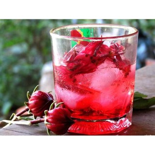Hạt giống hoa Atiso đỏ