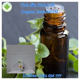 Tinh dầu Kinh Giới Oregano essential oil giúp chống viêm, kích thích tiêu hóa hiệu quả - 100ml