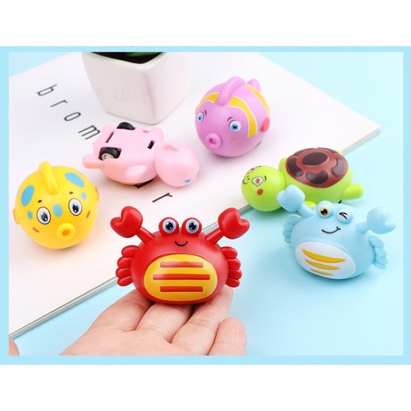 SINH VẬT BIỂN CHẠY CÓT DỄ THƯƠNG VUI NHỘN - SVB01