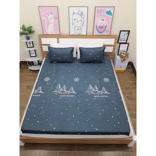 [SHIP HOẢ TỐC] bộ ga gối chun cotton