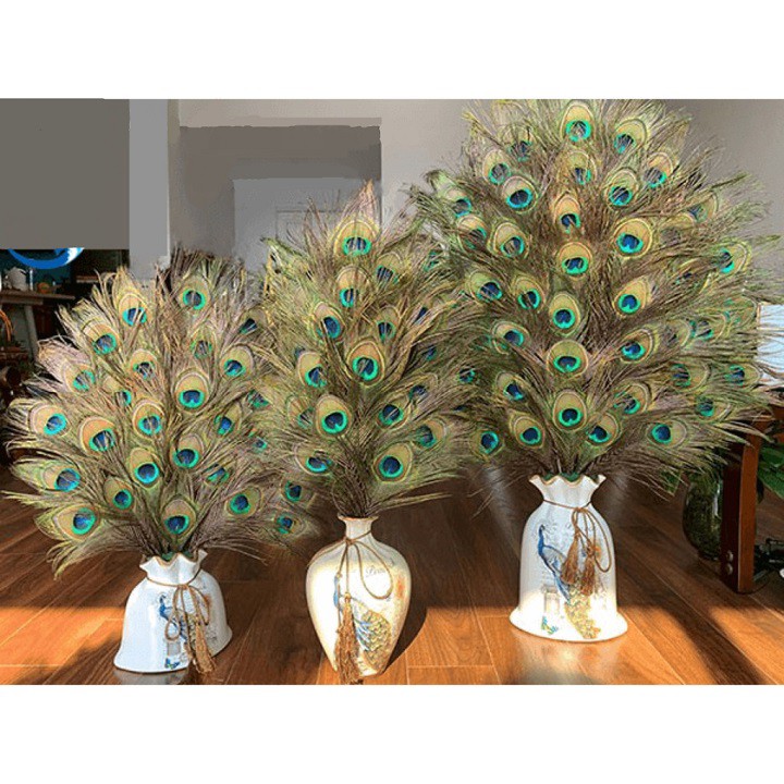 Combo 10 Lông công trang trí phong thủy tài lộc 28-35cm