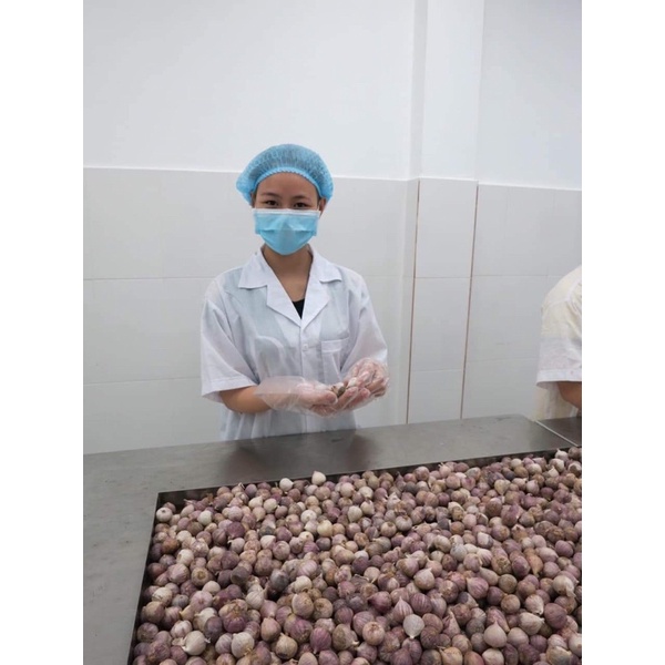 Tỏi Đen Cô Đơn ( Tỏi Một Nhánh Hàng Chuẩn Loại Một )