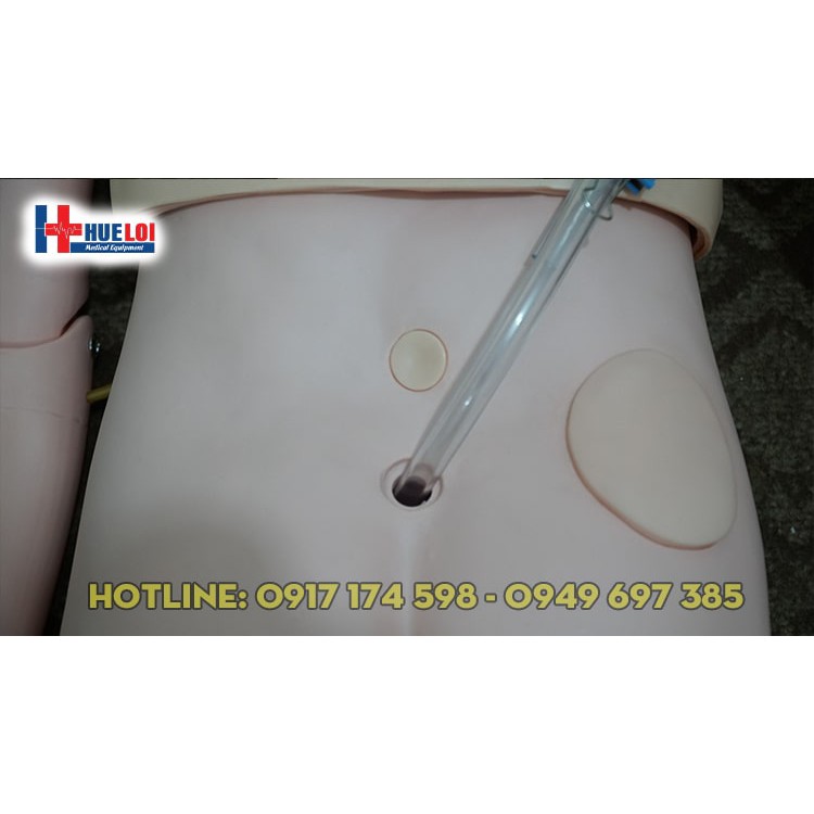 MÔ HÌNH CƠ THỂ NAM THỰC HÀNH ĐIỀU DƯỠNG CƠ BẢN