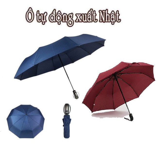 Ô UV Gấp Gọn Cao Cấp, Cực Xinh