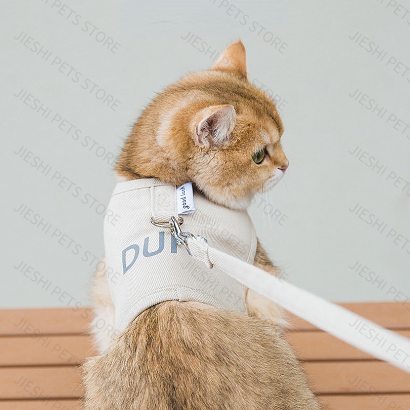 Bộ dây xích thoáng khí cho thú cưng mùa hè, dây xích dắt chó đi dạo, dây xích cho mèo