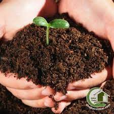 Đất sạch giàu dinh dưỡng TRIBAT  10kg