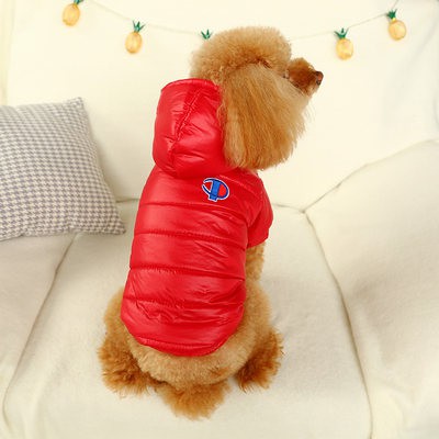 Quần áo chó hơn gấu Bomi Poodle mùa thu và mùa đông dày giữ ấm Áo khoác bông Teddy Vật Nuôi thương hiệu thời trang