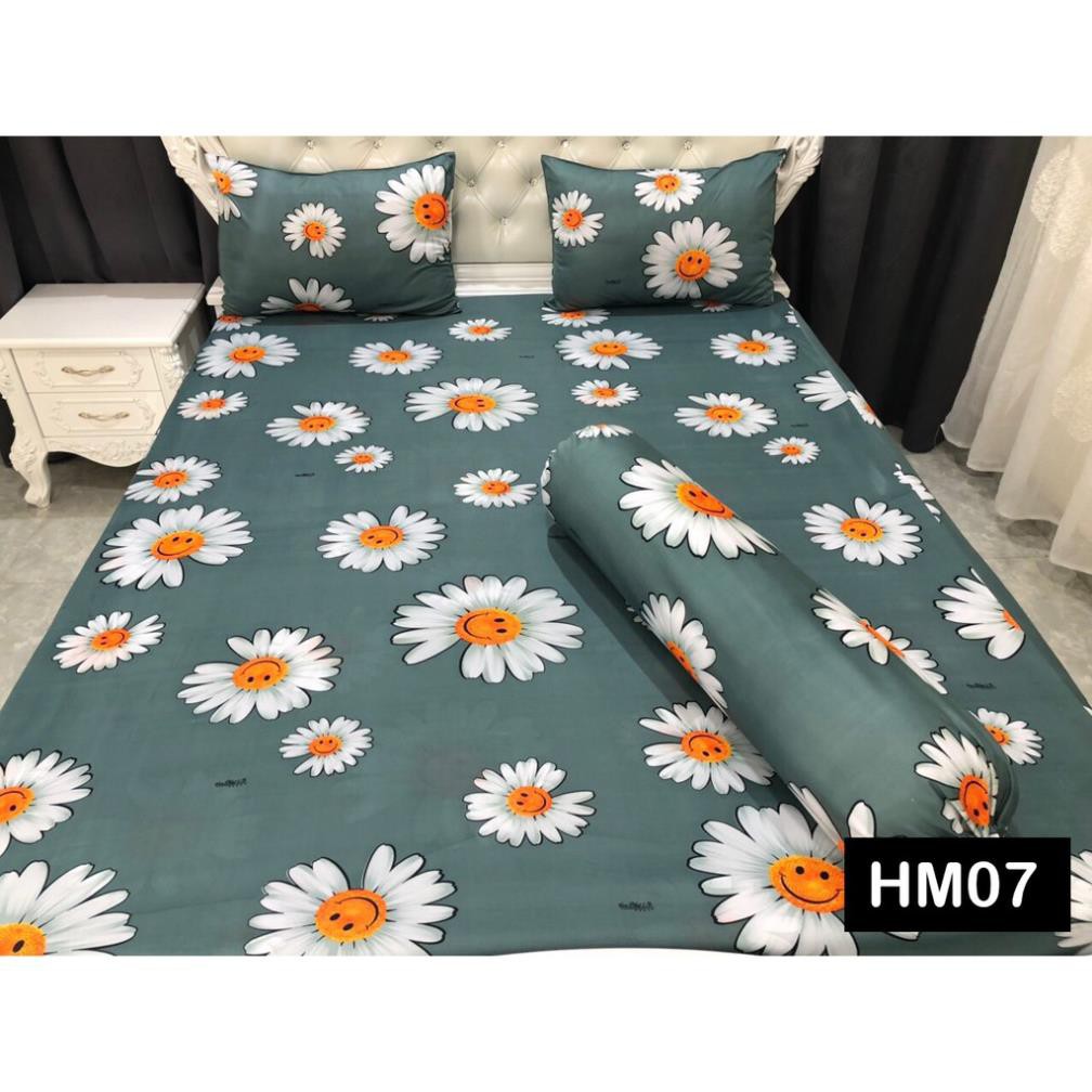 Bộ drap thun hoa cúc nhiều màu 1 ga 3 vỏ gối