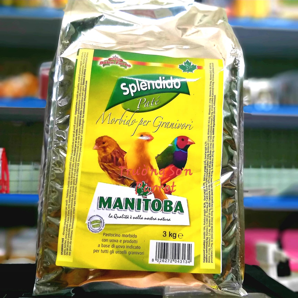 Cám trứng cho chim yến hót, exotic species, lovebirds, neophema, cockatiel, yến phụng...Cám trứng SPLENDIDO manitoba