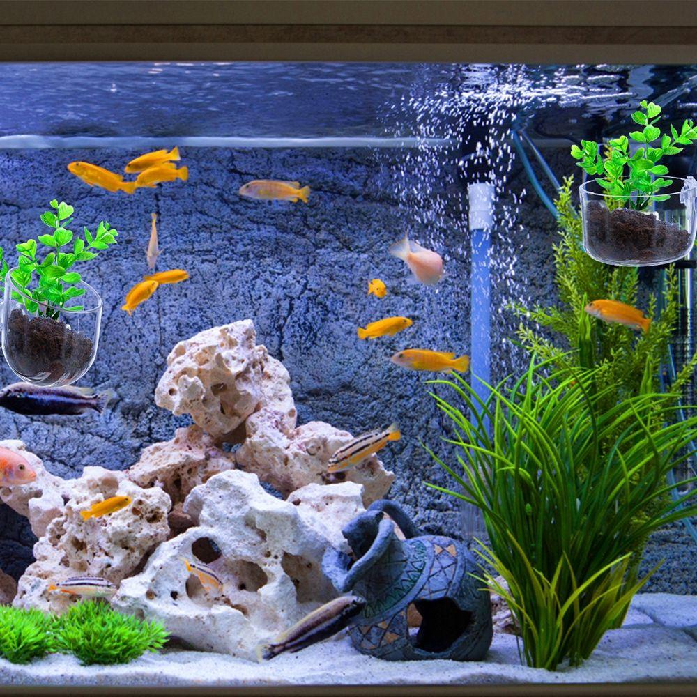 Bình Hoa Trang Trí Bể Cá