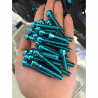 Ốc titan gắn che két nước