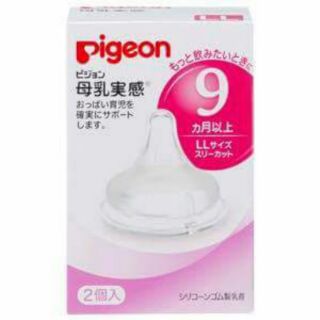 Núm pigeon nội địa Nhật size LL (9m+)