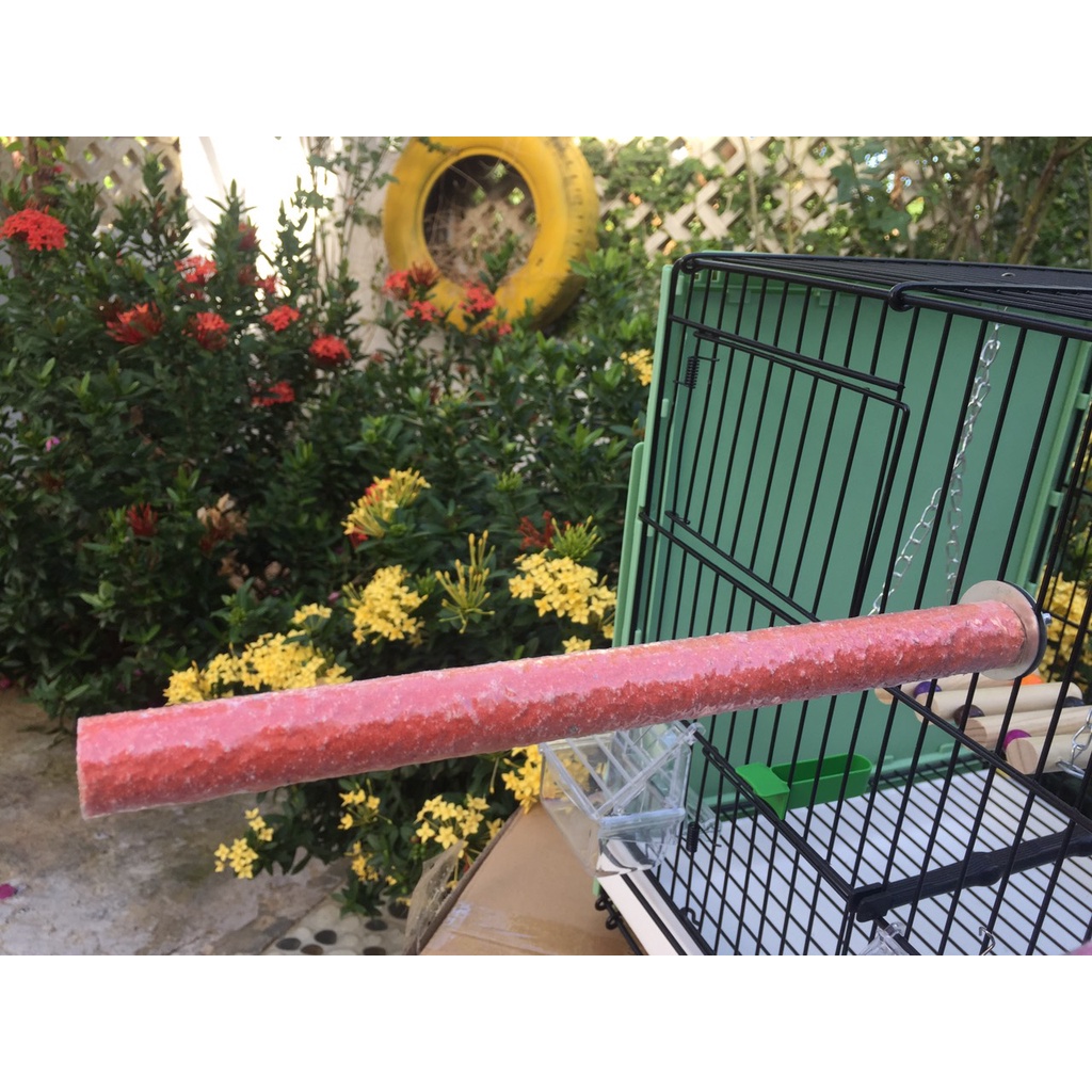 Cầu mài móng cho vẹt đường kính dày 1,8- 2cm
