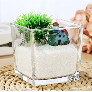 Bình hoa thủy tinh vuông cắm hoa, trồng tiểu cảnh - Bình Hoa