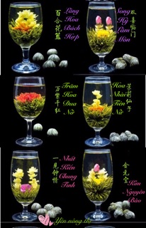 Trà Nở Hoa 16 bông