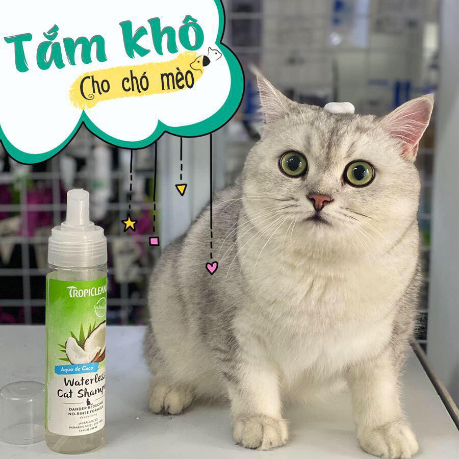 Bọt Tắm Khô Dưỡng Lông Cho Chó Mèo Tropiclean Waterless 220ml