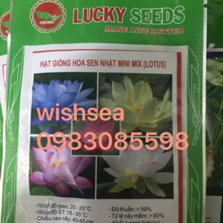 Hạt giống hoa sen mini nhật