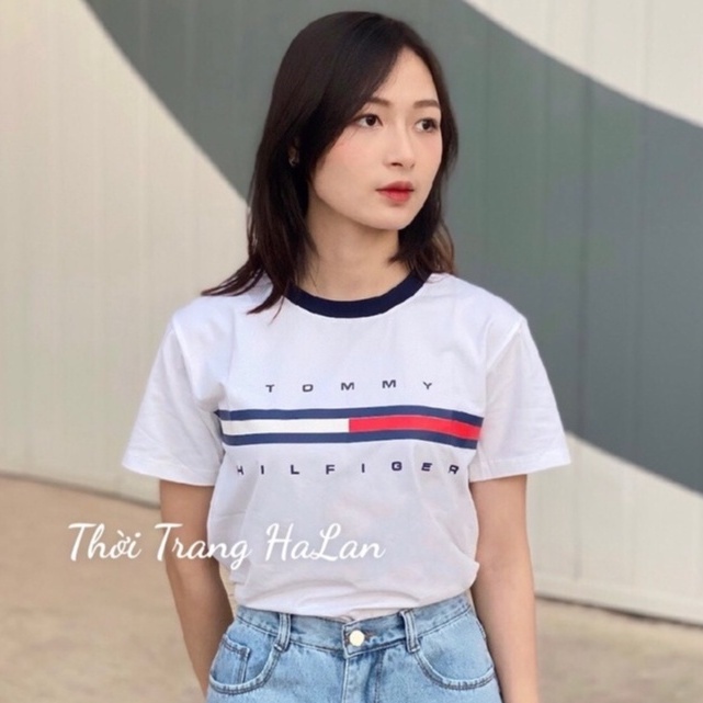 Áo thun HaLan Belive phông cotton cao cấp sang xịn mịn chính hãng