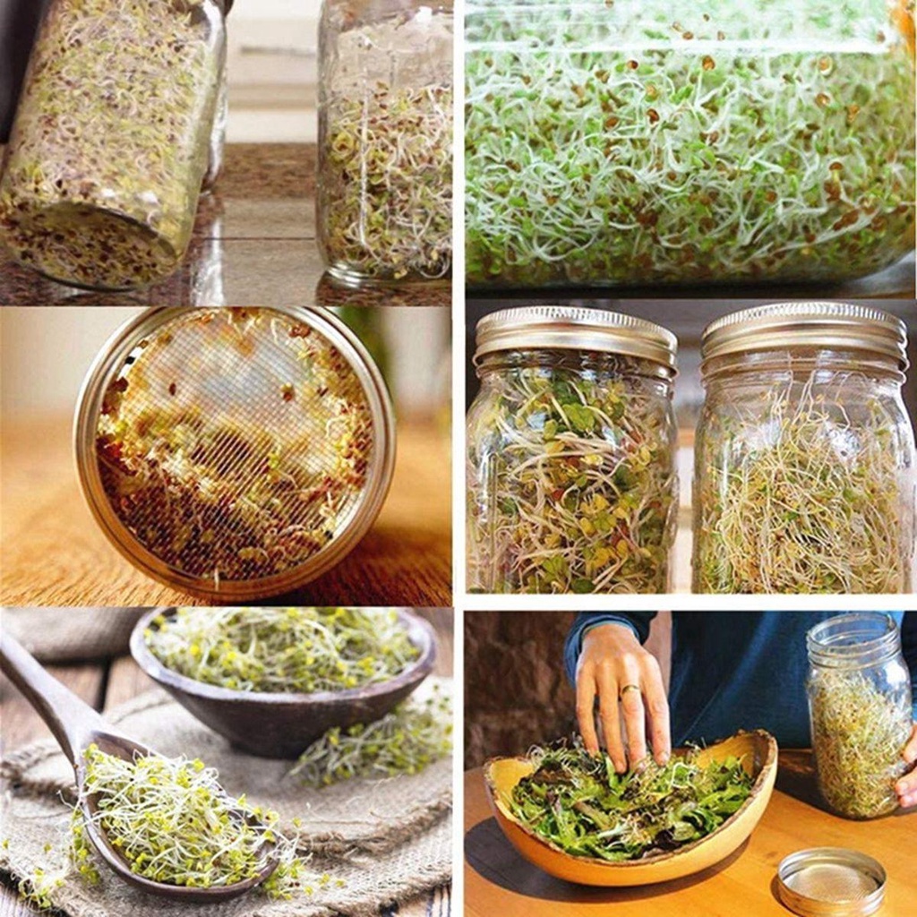 Bộ Lọ Mầm Bảo Quản Tươi Mới Với Nắp Đậy Bằng Thép Không Gỉ