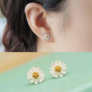 🌈Bông Tai Hoa Cúc (BẠC 925)🌈