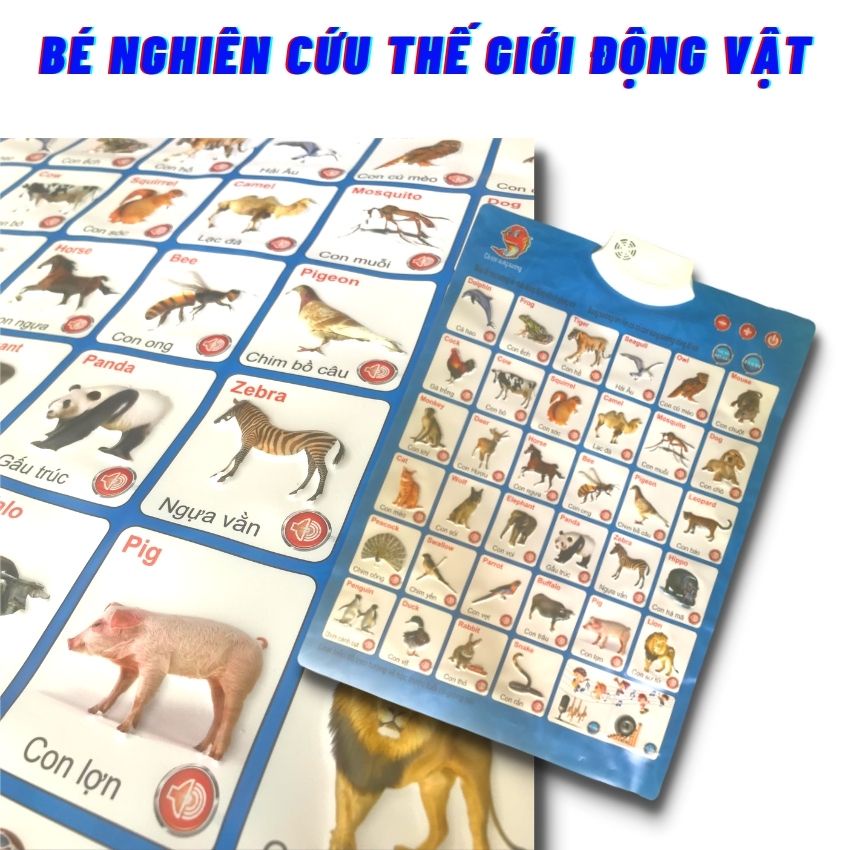 [Combo 3 Bộ+Tặng Pin]Bảng Chữ Cái Điện Tử Vàng, Thông Minh, Biết Nói, Bảng Học Chữ Tiếng Việt ZOLY SHOP