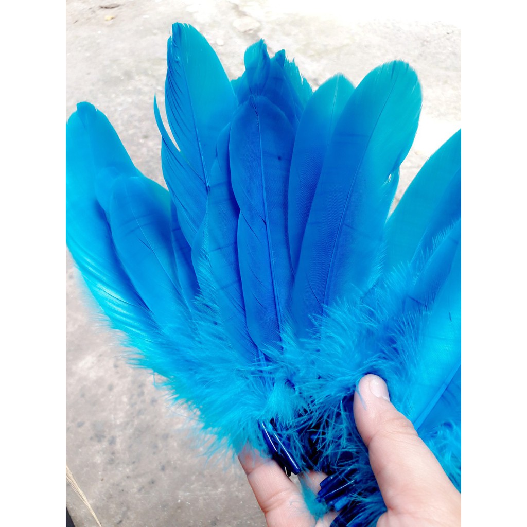 Lông vũ LỚN - màu trắng và đủ màu : 1 bịch 10g khoảng 20 cái